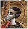 dog head