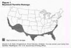 Map of drywood termite infestation
