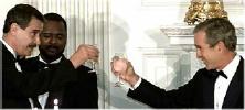 Mexican Fox and Amnesty Bush toast